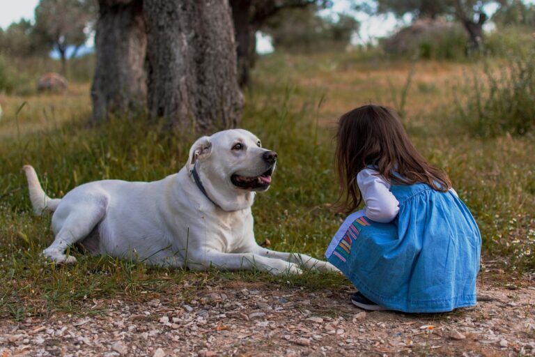 Cane e neonato: ecco come preparare il tuo cane all'arrivo del bebè