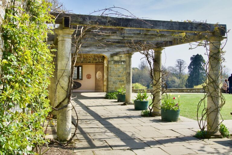 Pergolato con piante rampicanti: ecco le migliori per fiori e ombra